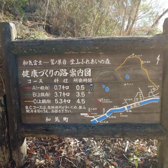 上級者コースで