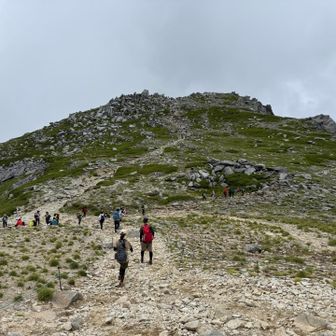 中岳の登り返しは避けて巻道➡️へ