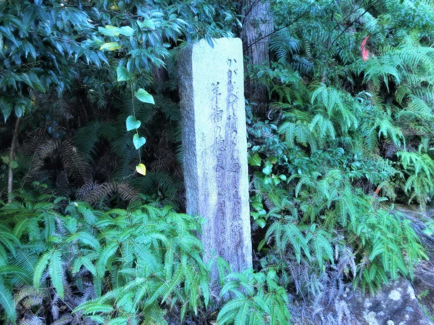 32番ポスト付近
｢かがなべて待つらむ母に眞熊野の羊歯の穂長を箸にきるかも｣