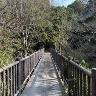 第1ステージ【恐怖💀急登階段地獄😱】