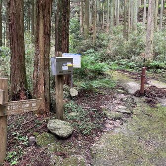 終了☑️です。
降りはここからが歩きやすい。