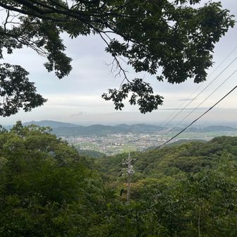 展望所から