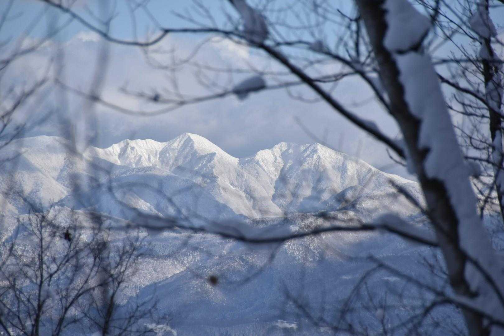 下山途中、木々の隙間から雁戸山。
藪も埋まったかな。また歩きに行こうか。