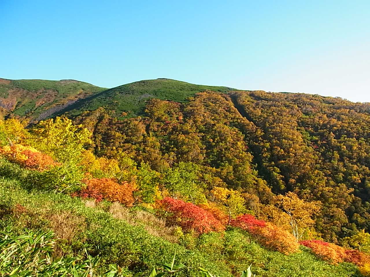 📸撮らさります🍁