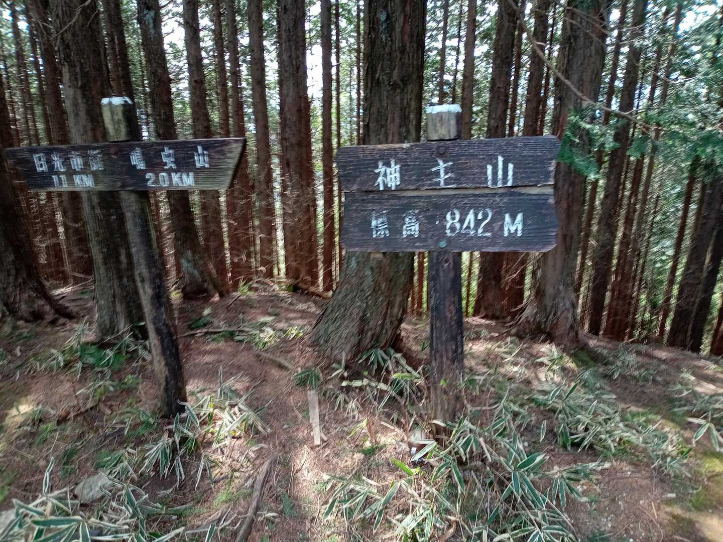 神ノ主山到着です✨
ココまで急登も無く気持ち良く登ってきました😊