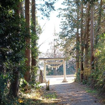 下山完了
平日の朝にも関わらず多くの人と途中でスライドする
老夫婦や犬のお散歩の人やお友達同士など、わりと多くの方が歩いていた