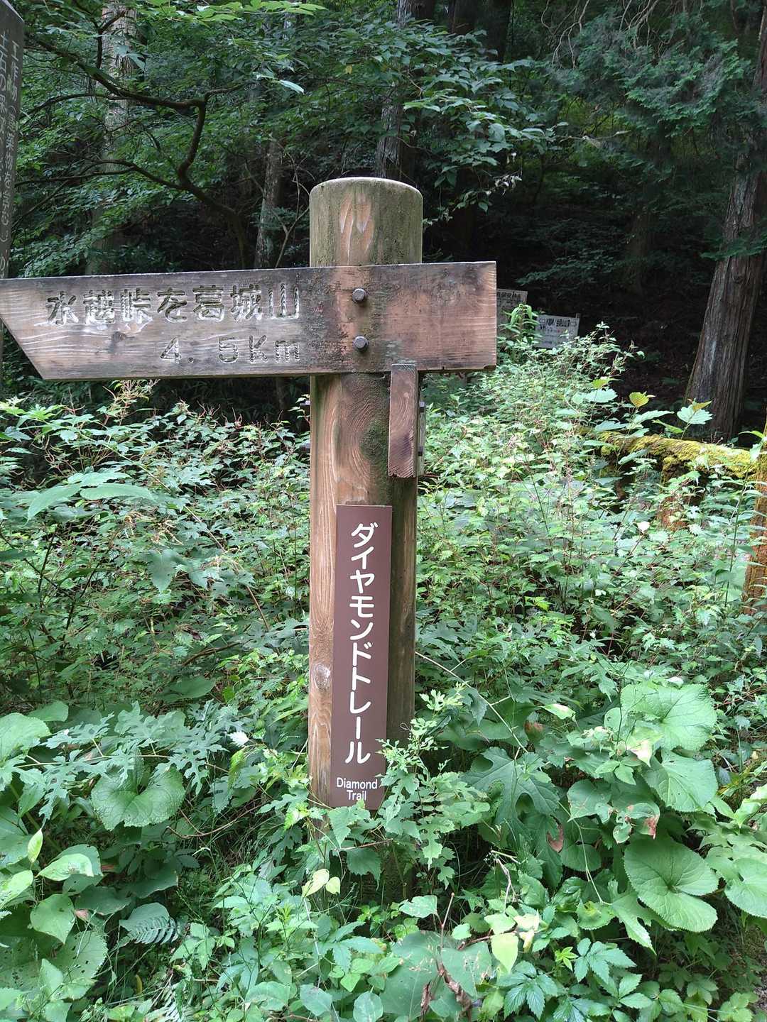 水越峠-金剛山-金剛山葛木神社 周回コースの写真