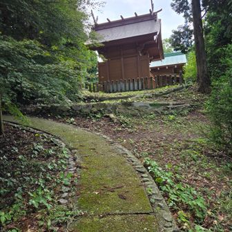 今日は金峯山神社⛩️の裏からのアプローチ🚶‍♂️🚶‍♀️