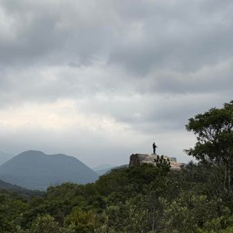 もう一度これが見たかったので
来た道を帰ります