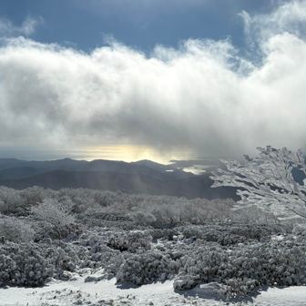 どんどん流れる雲に釘付け
超極寒のなかでも写真が撮れるiPhoneに拍手