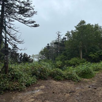 ➡️湯元へ