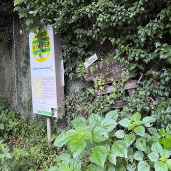 東河内登山口