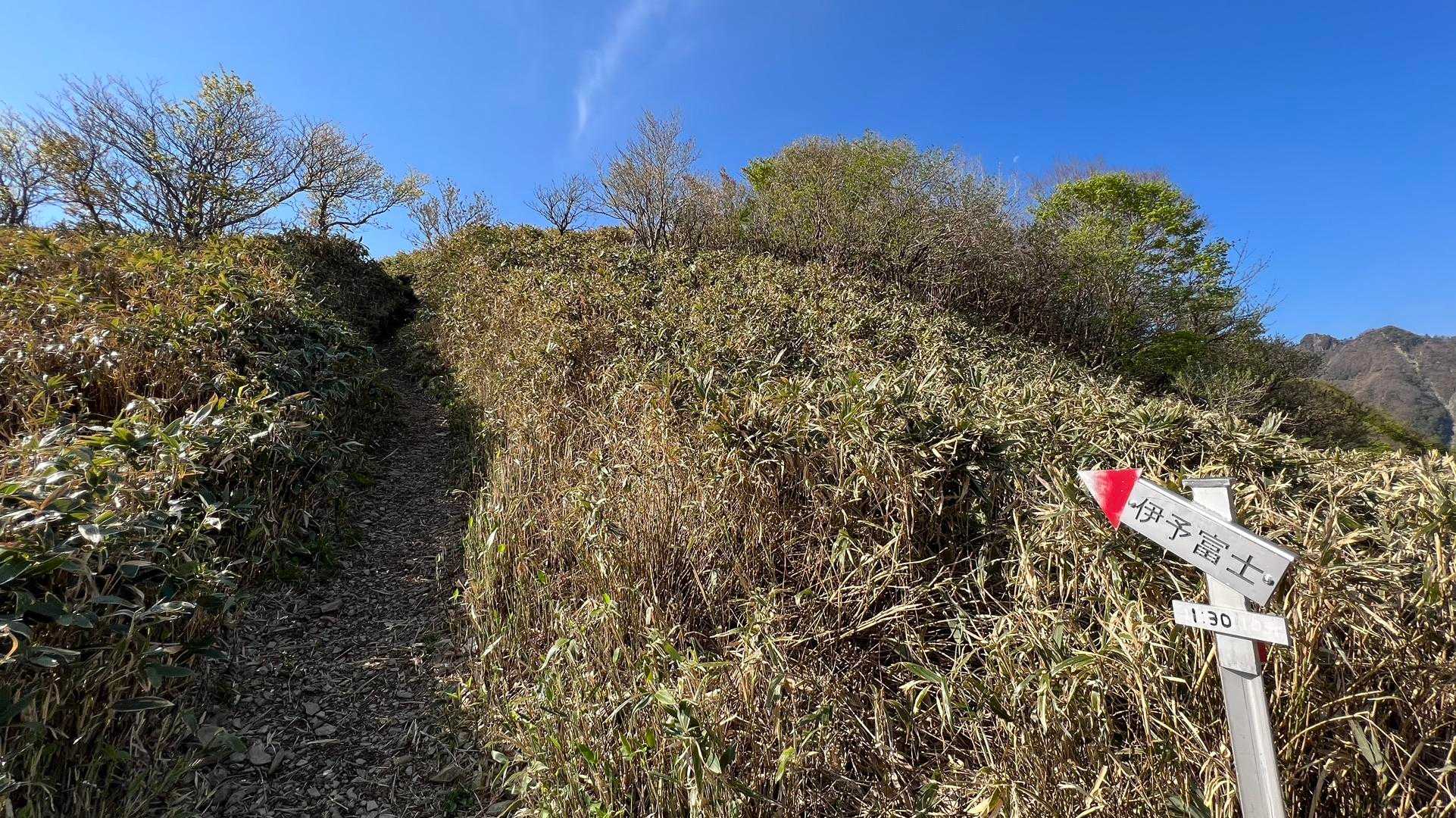 休憩もほどほどに伊予富士の方に🚶ﾃｸﾃｸ♪