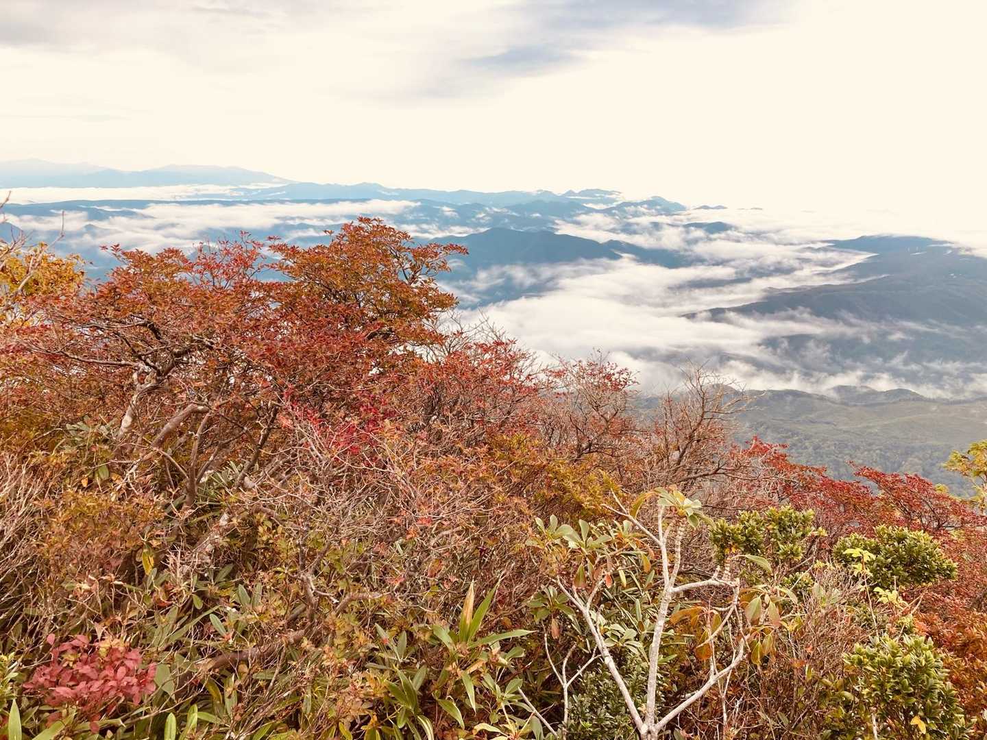 紅葉と雲海