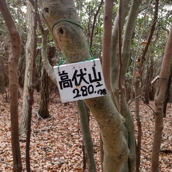 高伏山ピーク📍眺望なし