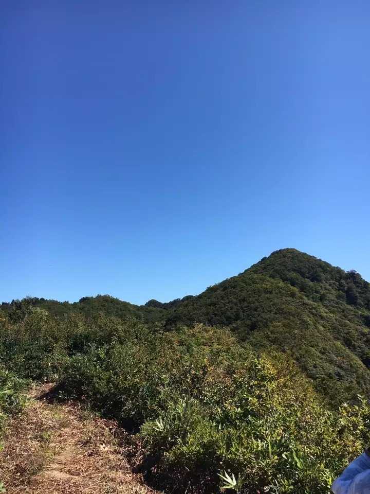 焼峰山の写真
