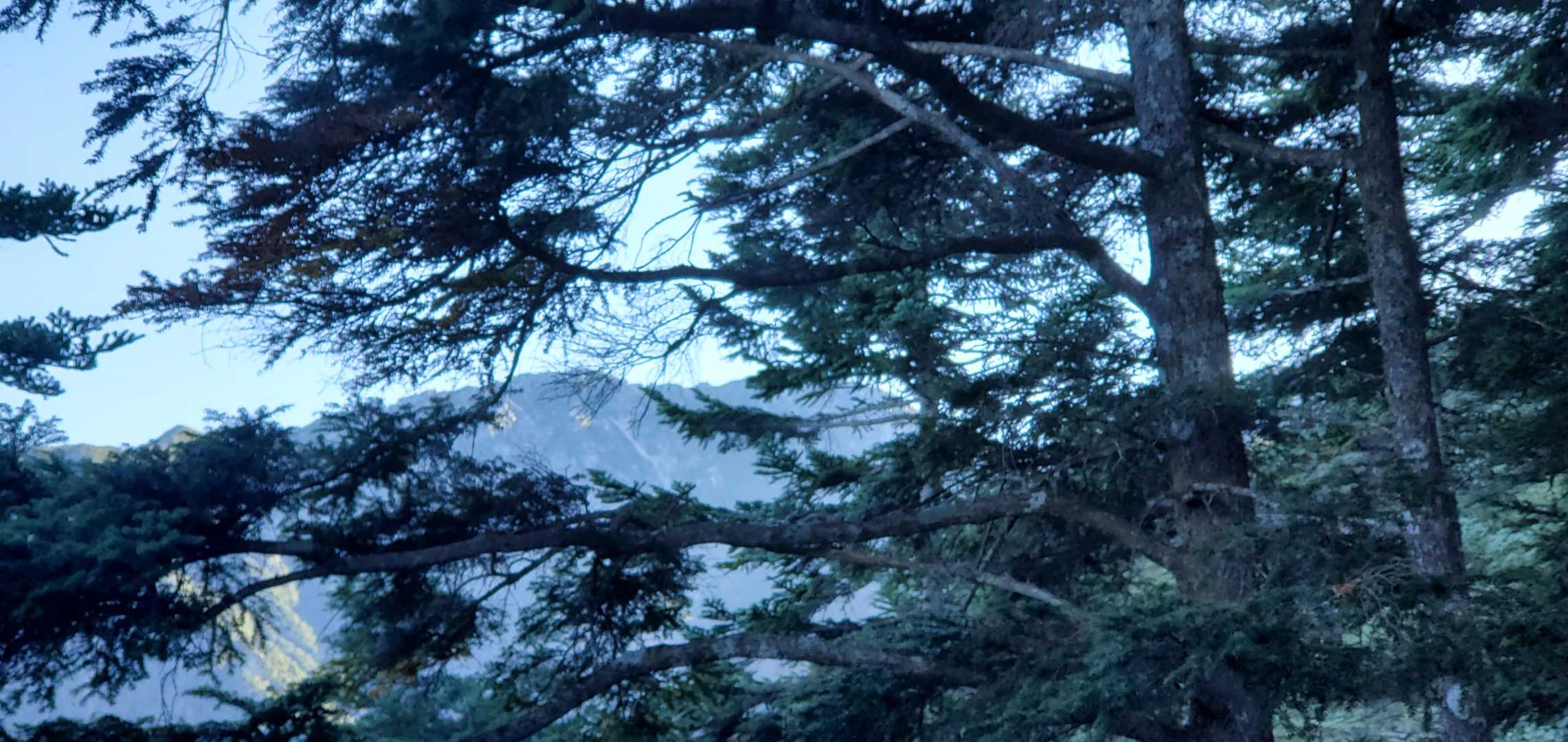 南駒ヶ岳方面