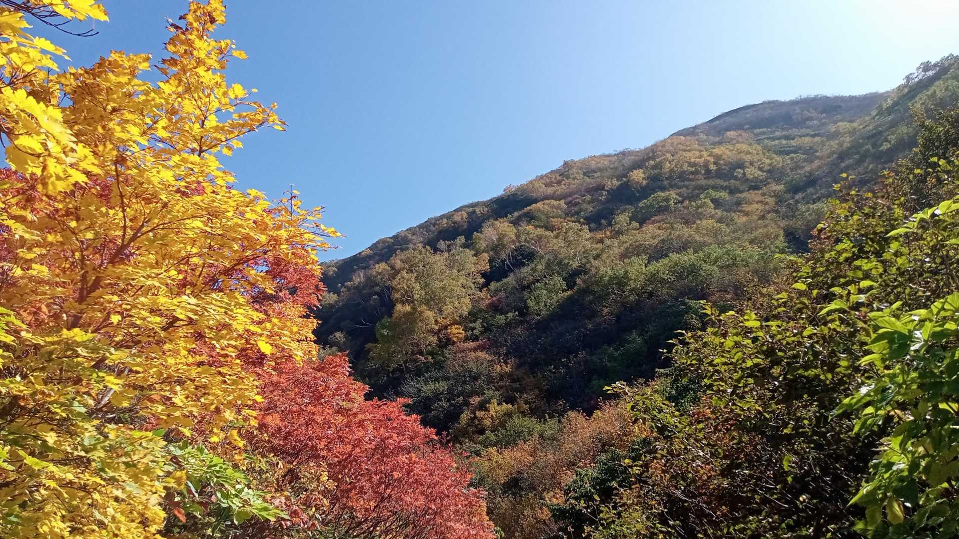 雨飾山登山口-雨飾山 往復コースの写真