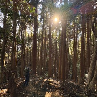 あれ？道が違う。と、引き返したら