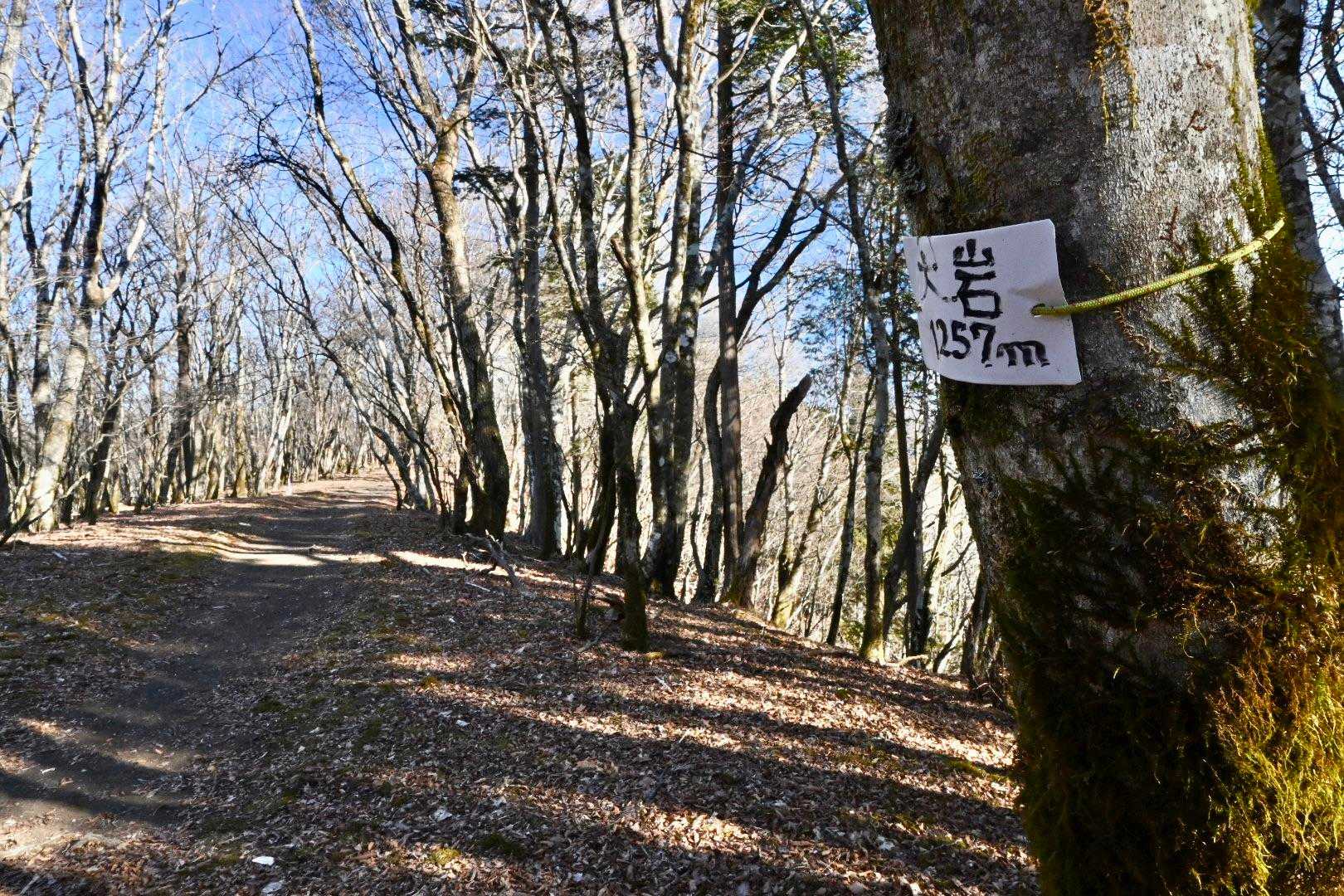 こちらには正式な？ピーク表示がある。
まぁどっちにしろ、大岩にはピーク感がなく、多くの人は無意識に通過していく。