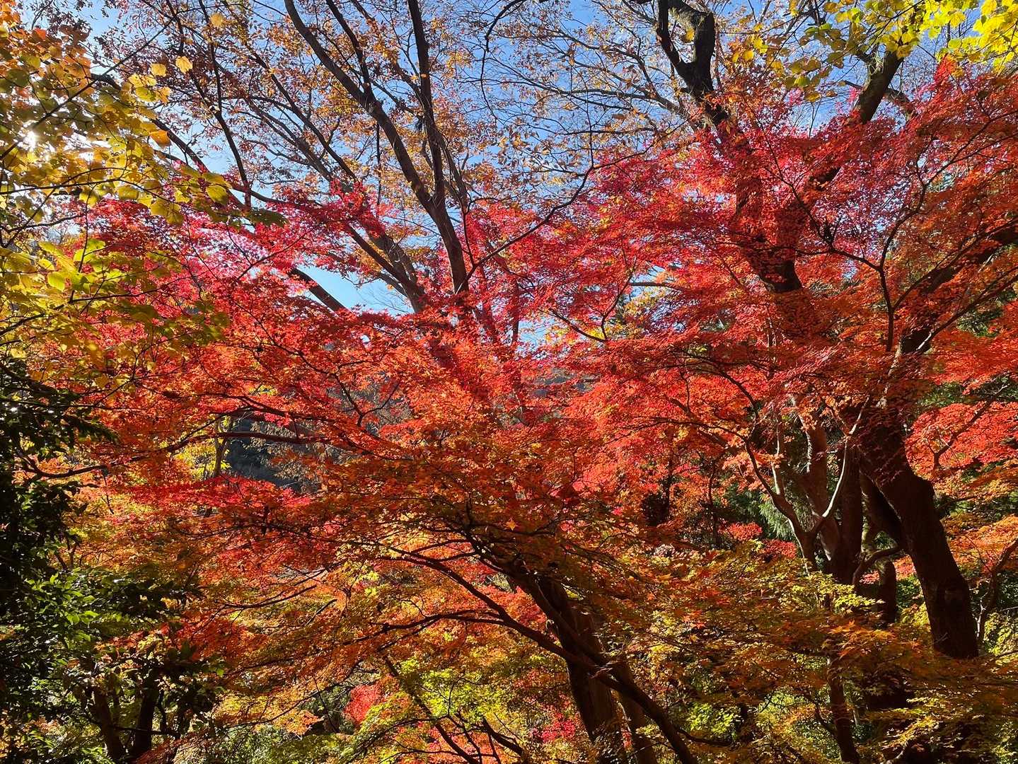 三方山-小倉山 往復コースの写真
