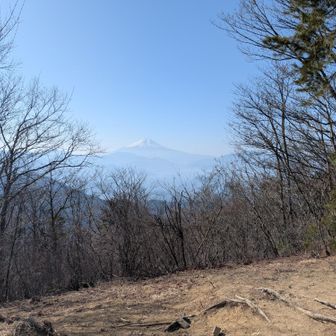 扇山や百蔵山の北側斜面は燃えていないようですね