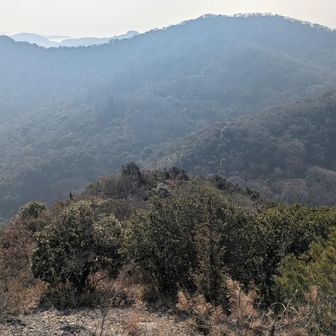 あの山も堂々としているが低山です！