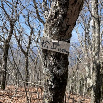 こちらでは、松山千春の歌マネを(笑)🎤