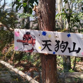 素敵な山頂標😄