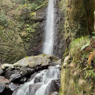 養老の滝通過。平日ですが観光客の方がちらほら...