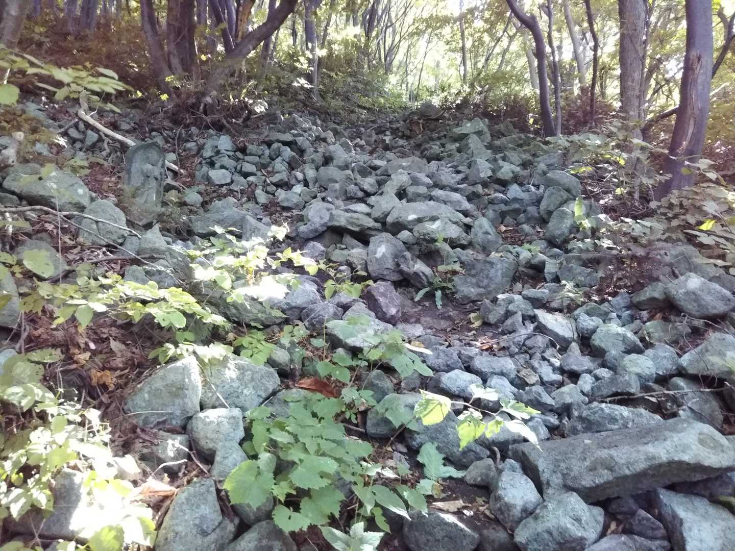 いきなりゴロゴロ石😑