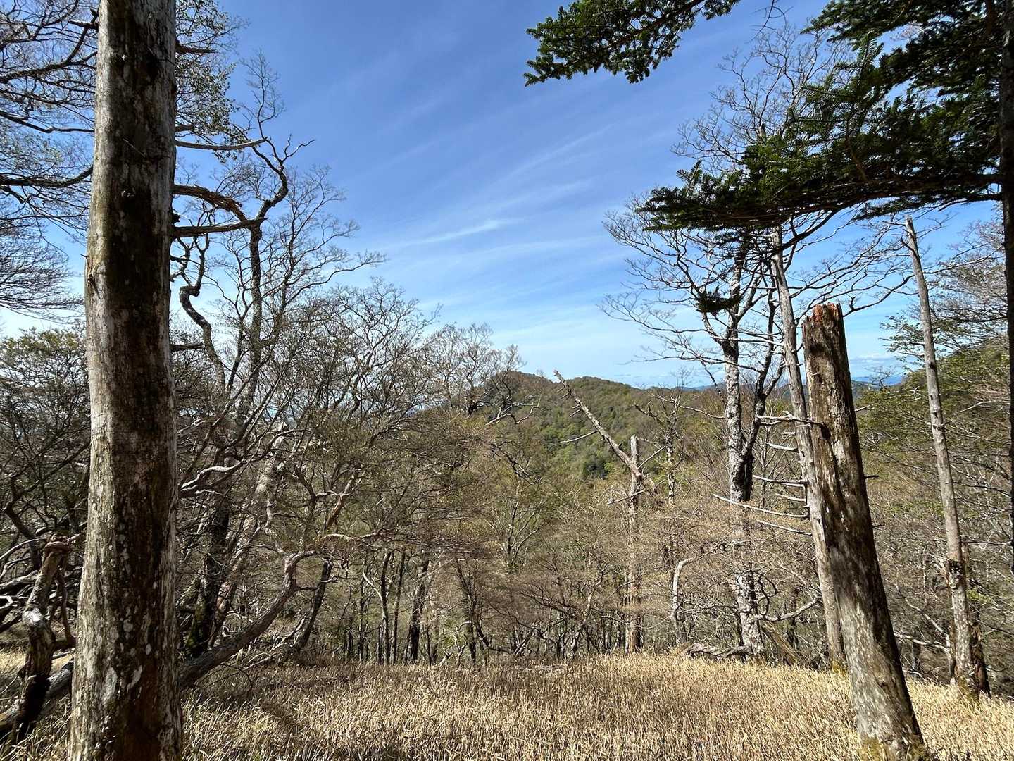 たぶん高塚山