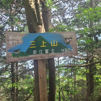 山頂です
この時間は常連さんが沢山