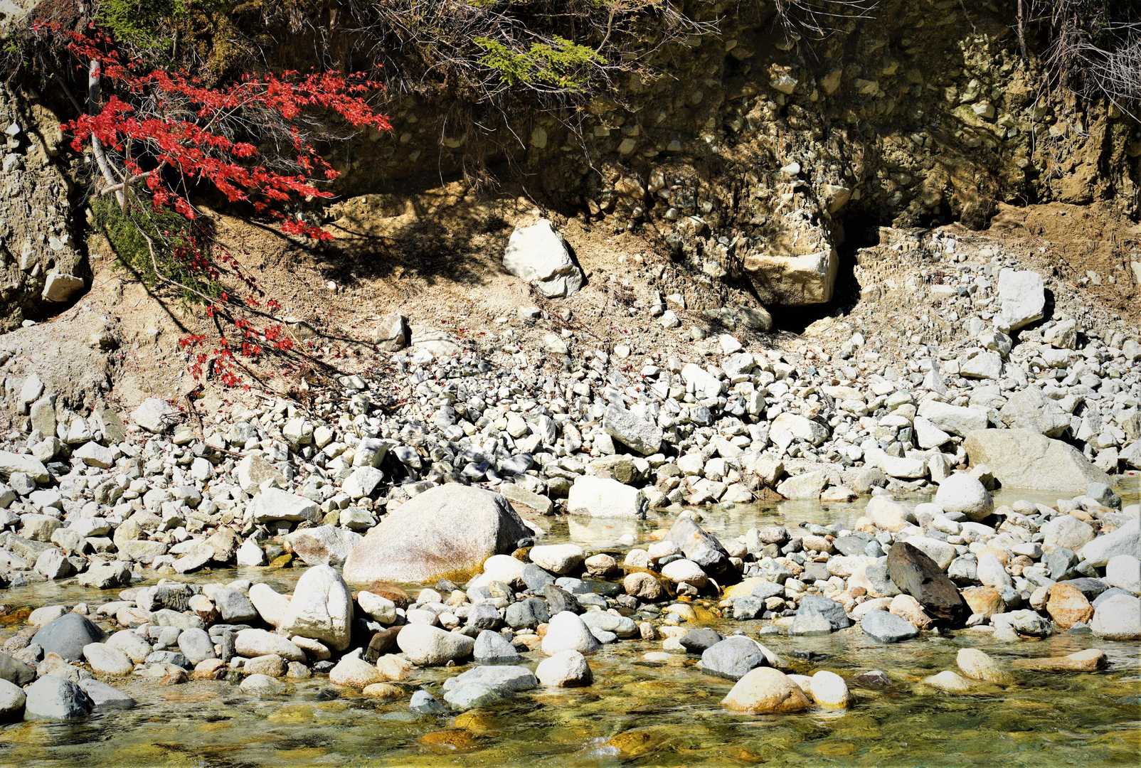 上高地バス停-河童橋-小梨平-奥穂高岳-涸沢 往復コースの写真