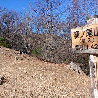 三角点あり⛰️