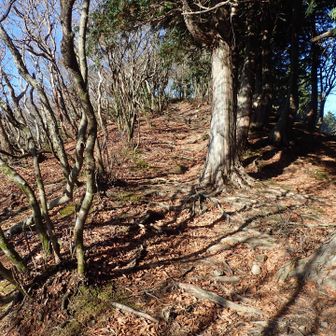 ビクトリーロード