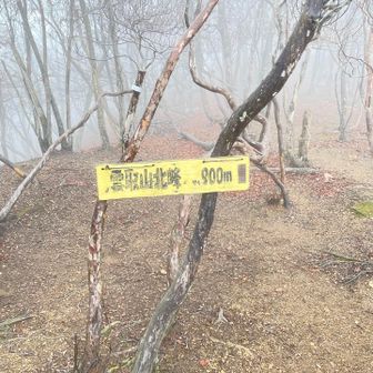 ←雲取山北峰に向かう