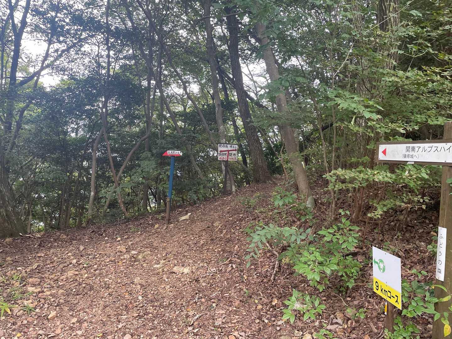 下山は勝山へ向かいます。
標識が多くて一瞬迷います。
そしてこの後不安な心を表した足取りで
もちろん滑って転びます。いたかったー