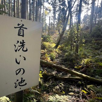 池っぽいのはないですが、名前がね、、、