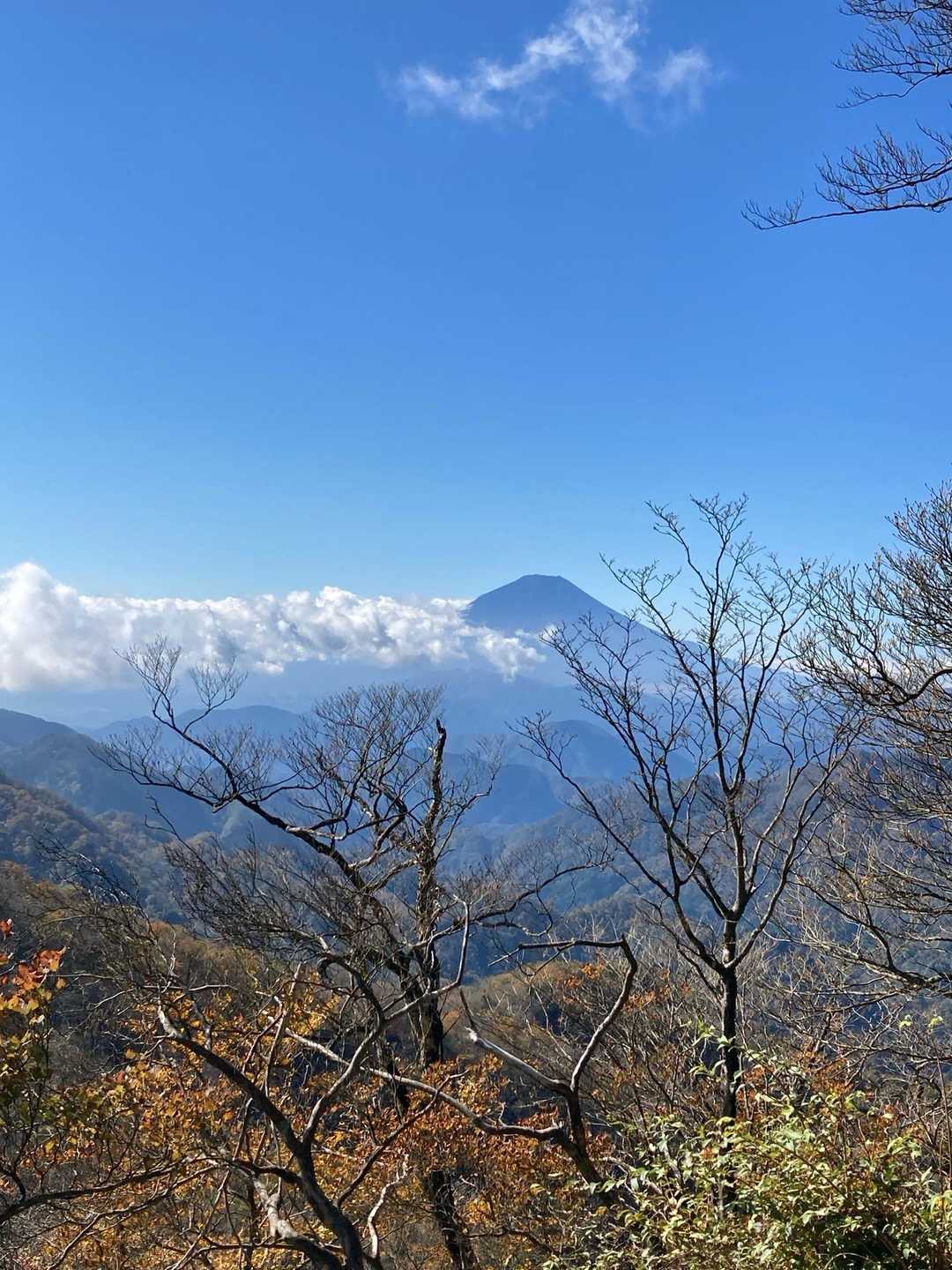 こんなキレイに富士山見えるんや〜