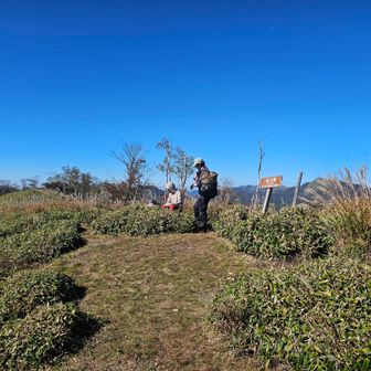 高ノ瀬の山頂です。
ツツジの群落をシカの食害から守る柵が設けられていました。