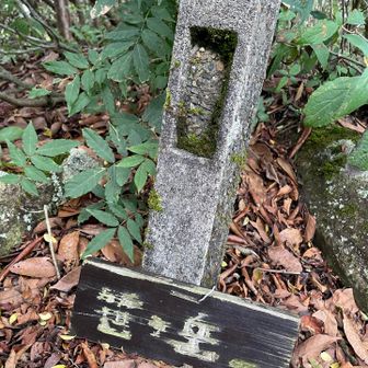 山頂標識は見つけづらいところにありました⛰️🪧