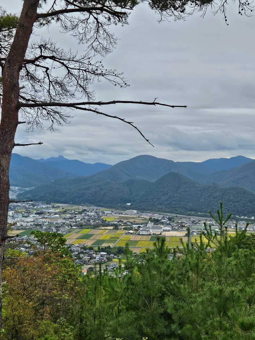 展望所からの景色。