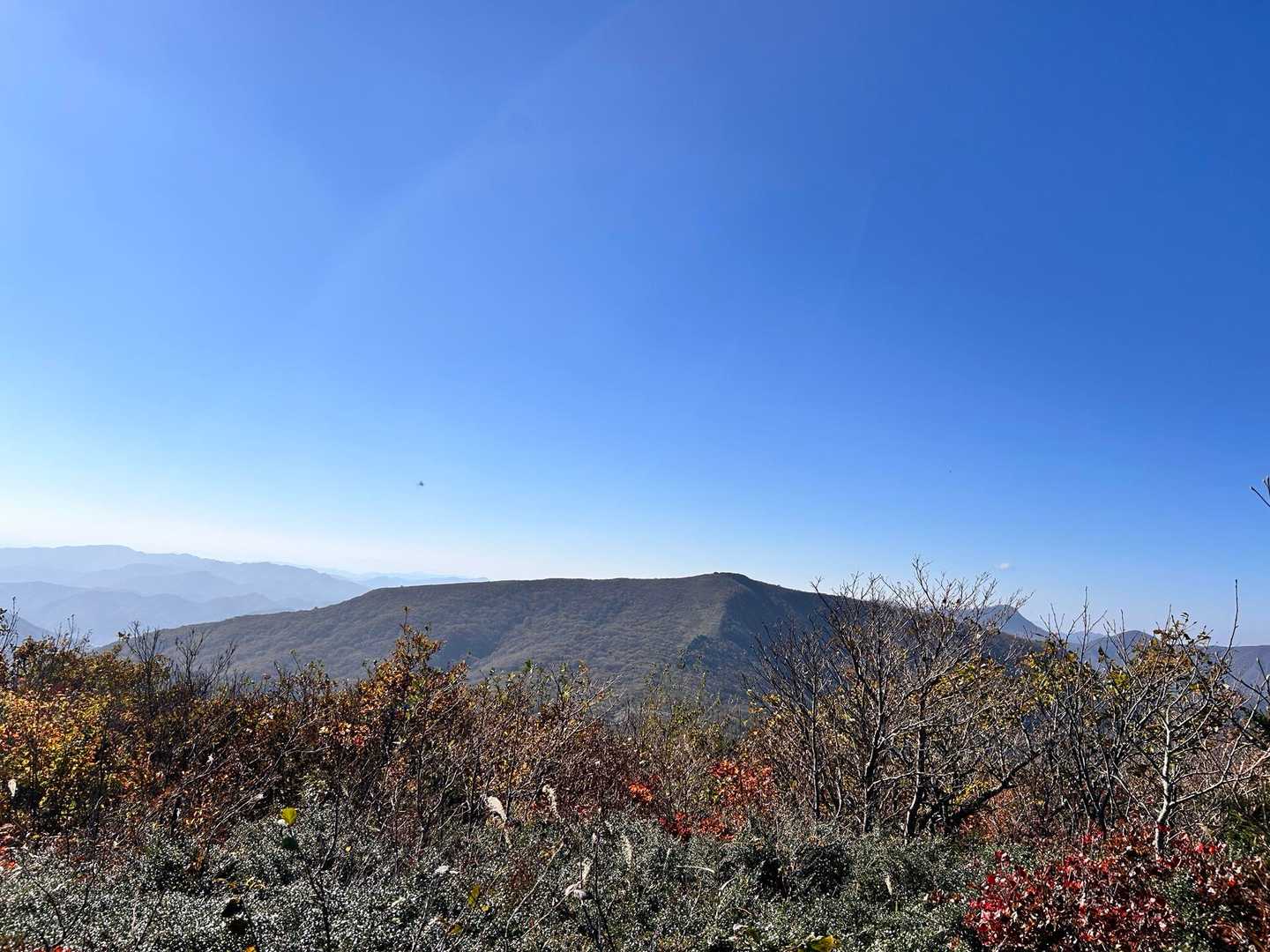 ひろしま県民の森登山口-出雲峠-比婆山 周回コースの写真
