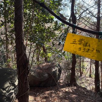 計画ではここに来る予定はありませんでした。
うきは駅からの長い舗装道に疲れましたので😓急遽向かうことにしました。
登り始めは竹藪で、終わりに急登の藪漕ぎがあります。😅
それでも山歩できて気持ちを新たにできました。