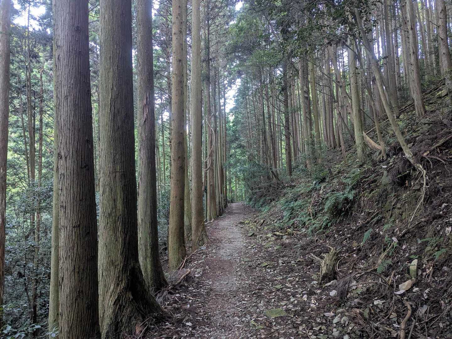 多度大社前バス停-多度山道入口-多度山 周回コースの写真