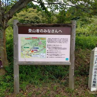 とりあえず📷