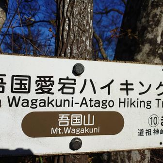 吾国山到着！
山頂標識＆展望ナシ
関東百名山✨️コンプリート✨️