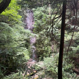 花崗岩の岩盤に沿って沢が流れている登山道へ。涼しい