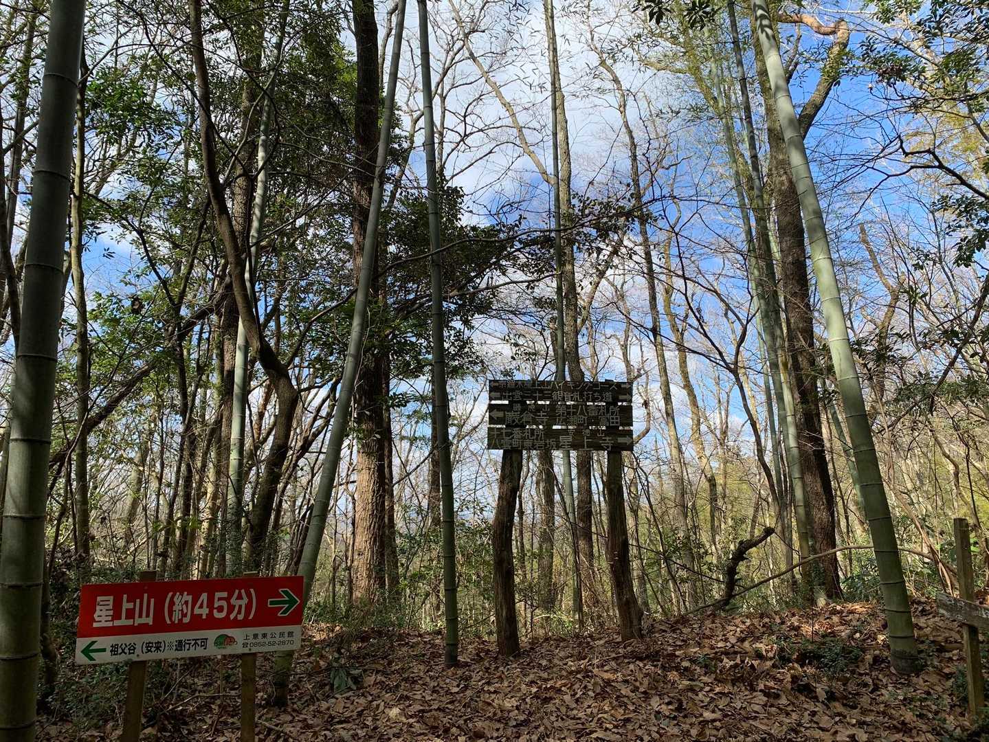 京羅木山-星上山 縦走コースの写真